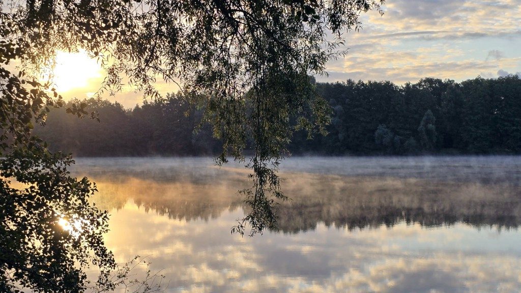 Der Ahrbecker Teich, ruhige Wasserfläche mit Baumreihe am Ufer