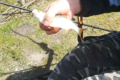 IMG-20190505-WA0009_bearbeitet