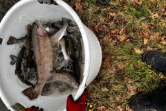 IMG-20240405-WA0007_bearbeitet