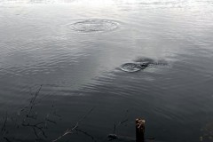 IMG-20240405-WA0016_bearbeitet