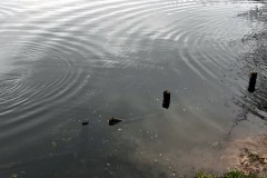 IMG-20240405-WA0017_bearbeitet
