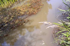 IMG-20250621-WA0002_bearbeitet