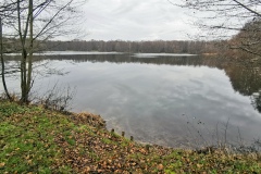 IMG01_Ahrbecker-Teich_20201220