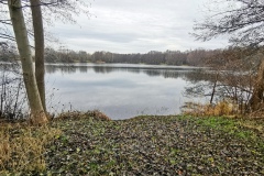 IMG05_Ahrbecker-Teich_20201220