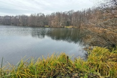 IMG06_Ahrbecker-Teich_20201220