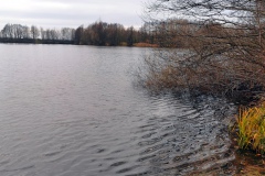 IMG12_Ahrbecker-Teich_20201220