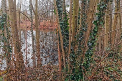 IMG13_Ahrbecker-Teich_20201220