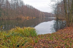 IMG16_Ahrbecker-Teich_20201220