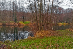 IMG17_Ahrbecker-Teich_20201220