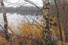 IMG22_Ahrbecker-Teich_20201220