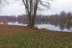 IMG23_Ahrbecker-Teich_20201220
