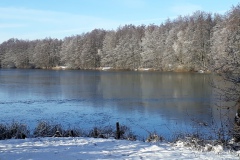 Ahrbecker-Teich-Januar-2021_1