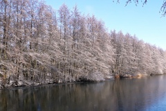 Ahrbecker-Teich-Januar-2021_4