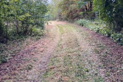 IMG-20250823-WA0000_bearbeitet