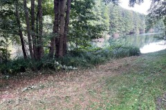 IMG-20250823-WA0001_bearbeitet