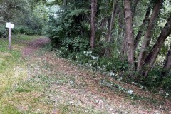 IMG-20250823-WA0002_bearbeitet