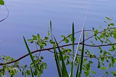 IMG-20220515-WA0000_bearbeitet