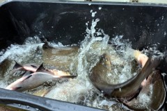 IMG-20260329-WA0010_bearbeitet