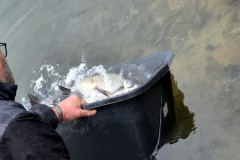 IMG-20260329-WA0067_bearbeitet