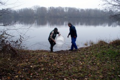 Fischbesatz_09.12.2020_02
