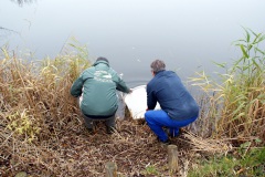 Fischbesatz_09.12.2020_06