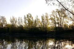 IMG-20260426-WA0005_bearbeitet