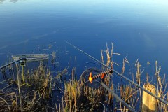 IMG-20260426-WA0006_bearbeitet