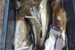 200