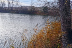 IMG01_Lohmeierteich_20201221