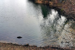 IMG02_Lohmeierteich_20201221