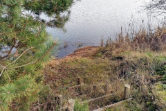 IMG04_Lohmeierteich_20201221