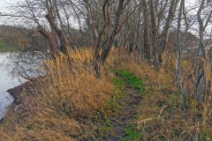 IMG06_Lohmeierteich_20201221