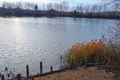 IMG09_Lohmeierteich_20201221