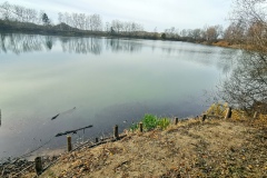 IMG10_Lohmeierteich_20201221