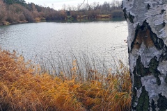 IMG11_Lohmeierteich_20201221