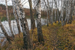 IMG12_Lohmeierteich_20201221