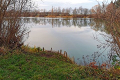 IMG13_Lohmeierteich_20201221