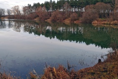 IMG14_Lohmeierteich_20201221