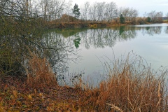 IMG15_Lohmeierteich_20201221