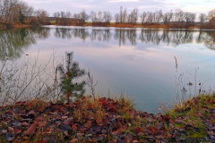 IMG16_Lohmeierteich_20201221
