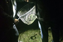 IMG-20250824-WA0009_bearbeitet