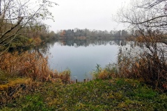 IMG01_Winkelmannteich_20201209