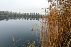 IMG02_Winkelmannteich_20201209