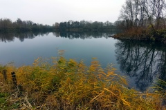 IMG03_Winkelmannteich_20201209