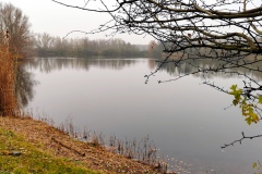 IMG04_Winkelmannteich_20201209