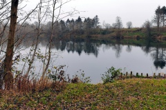 IMG05_Winkelmannteich_20201209