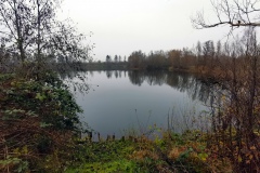 IMG06_Winkelmannteich_20201209