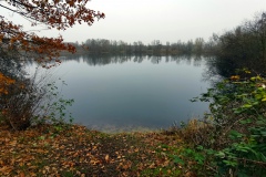 IMG07_Winkelmannteich_20201209