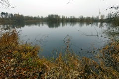 IMG08_Winkelmannteich_20201209