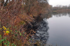 IMG09_Winkelmannteich_20201209
